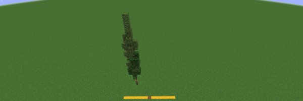 Tutorial 01