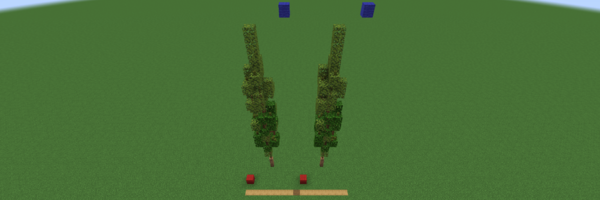 Tutorial 04