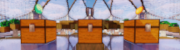 Loot Crates