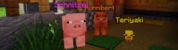 Pets